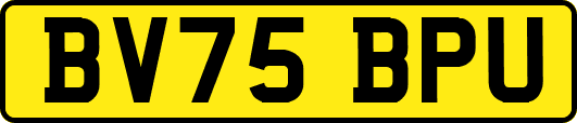 BV75BPU