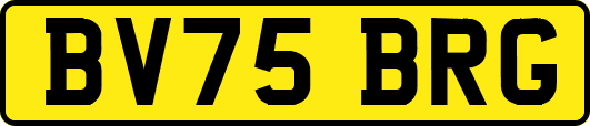 BV75BRG
