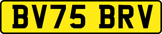 BV75BRV