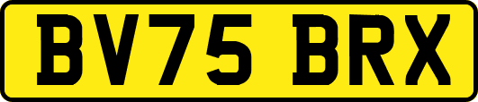 BV75BRX