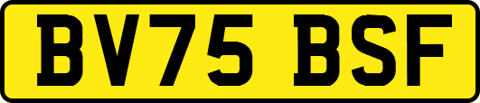 BV75BSF
