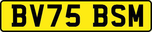 BV75BSM