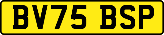 BV75BSP