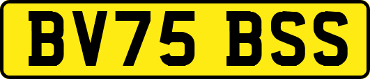 BV75BSS