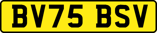 BV75BSV