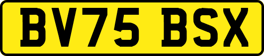 BV75BSX