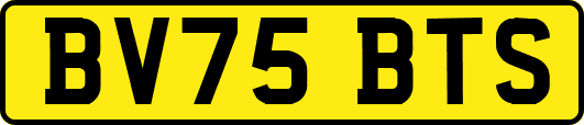 BV75BTS