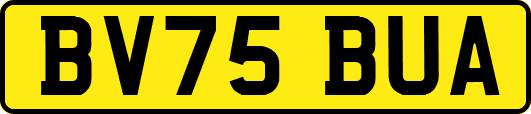 BV75BUA