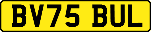 BV75BUL