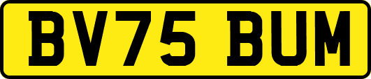 BV75BUM