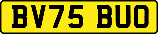 BV75BUO