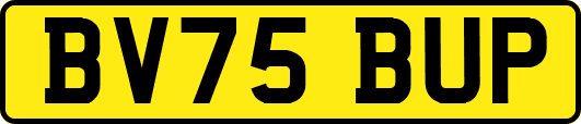 BV75BUP