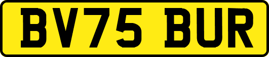 BV75BUR