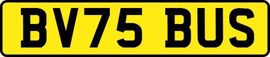BV75BUS