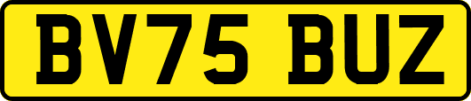 BV75BUZ