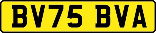 BV75BVA