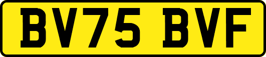 BV75BVF