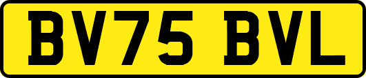 BV75BVL