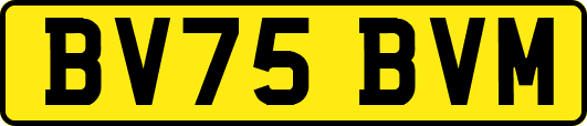 BV75BVM
