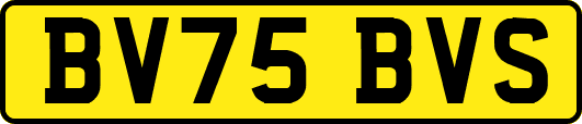 BV75BVS
