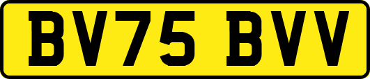 BV75BVV