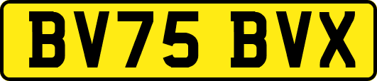 BV75BVX