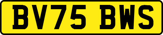 BV75BWS