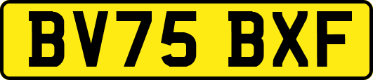 BV75BXF