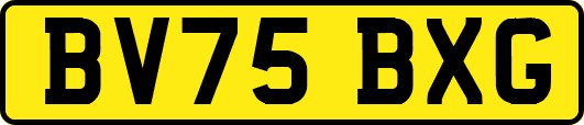 BV75BXG