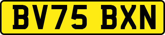 BV75BXN