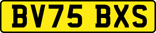 BV75BXS