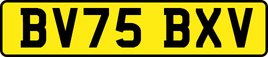 BV75BXV