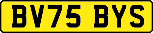 BV75BYS