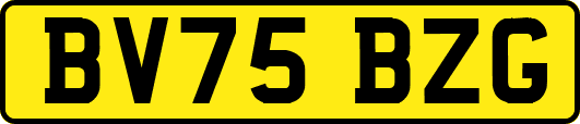 BV75BZG