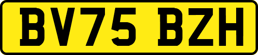 BV75BZH
