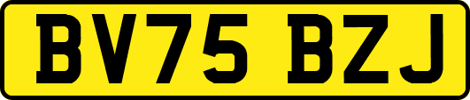 BV75BZJ