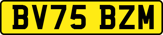 BV75BZM
