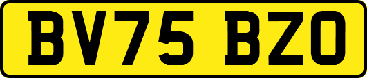 BV75BZO