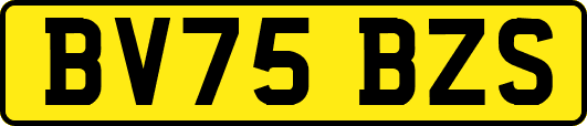 BV75BZS