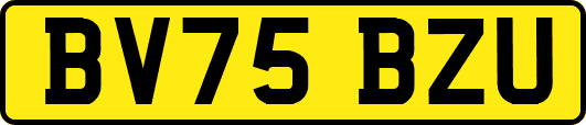 BV75BZU