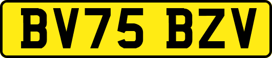 BV75BZV