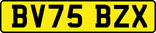 BV75BZX