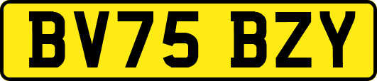 BV75BZY