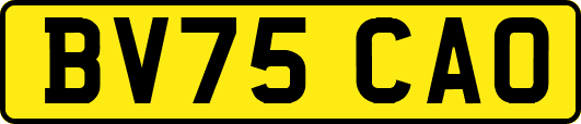 BV75CAO