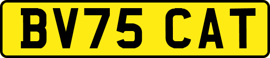 BV75CAT