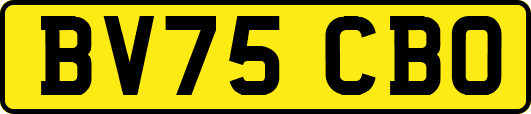BV75CBO
