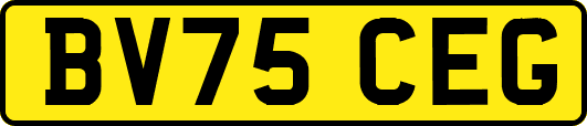 BV75CEG