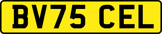 BV75CEL