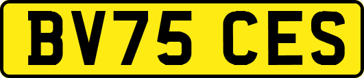 BV75CES