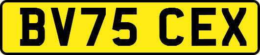 BV75CEX